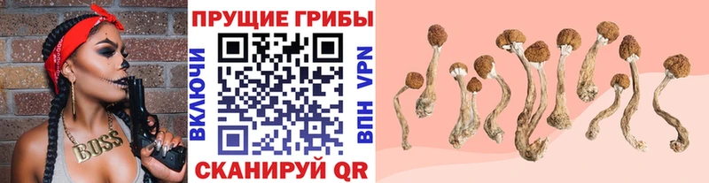 Псилоцибиновые грибы мицелий  Барабинск 